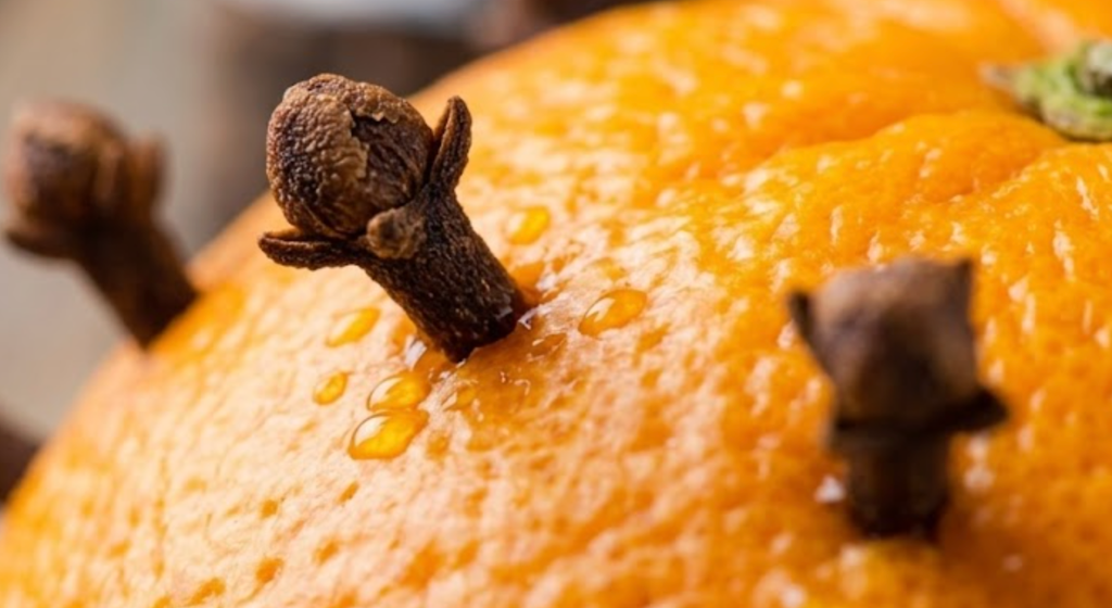 Pomarańcza z goździkami